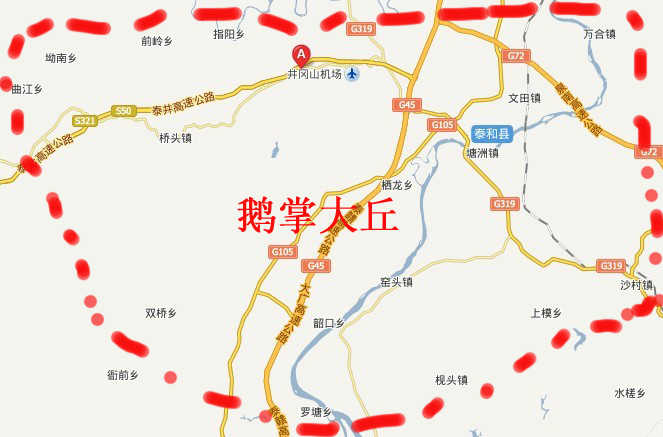 吉安府泰和县鹅掌大丘2.jpg