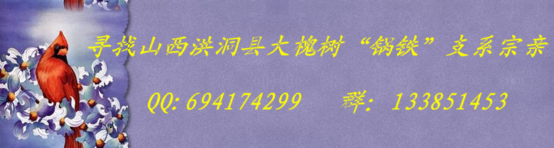 寻宗亲.jpg