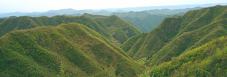 风景10.jpg