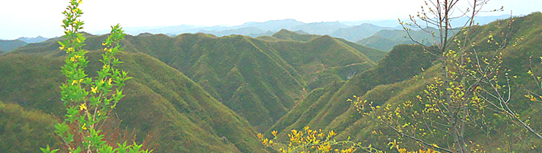 风景21.jpg