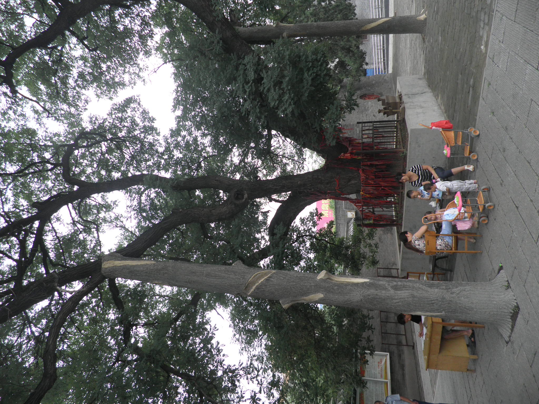 P6280343.JPG