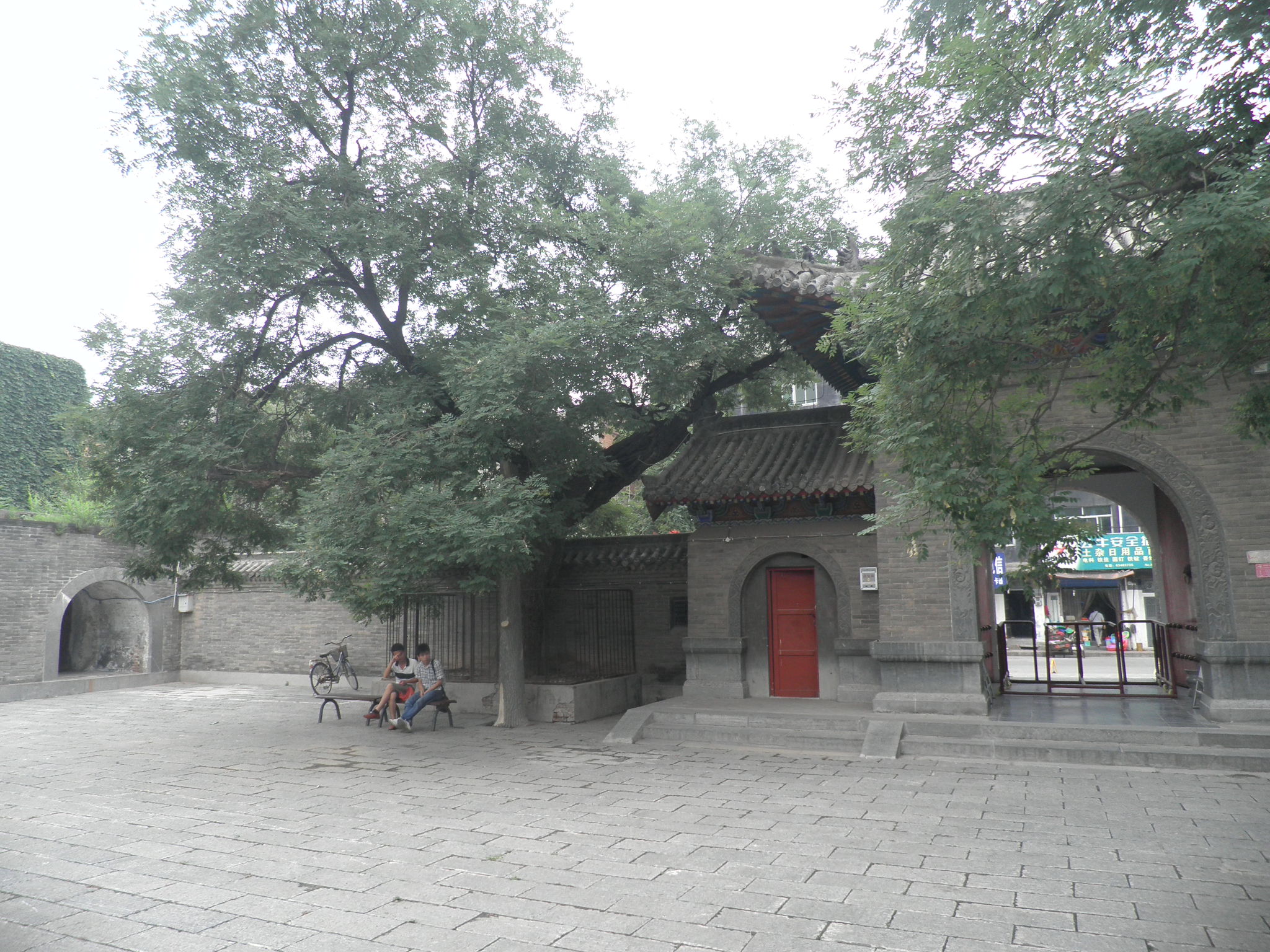 P6280344.JPG