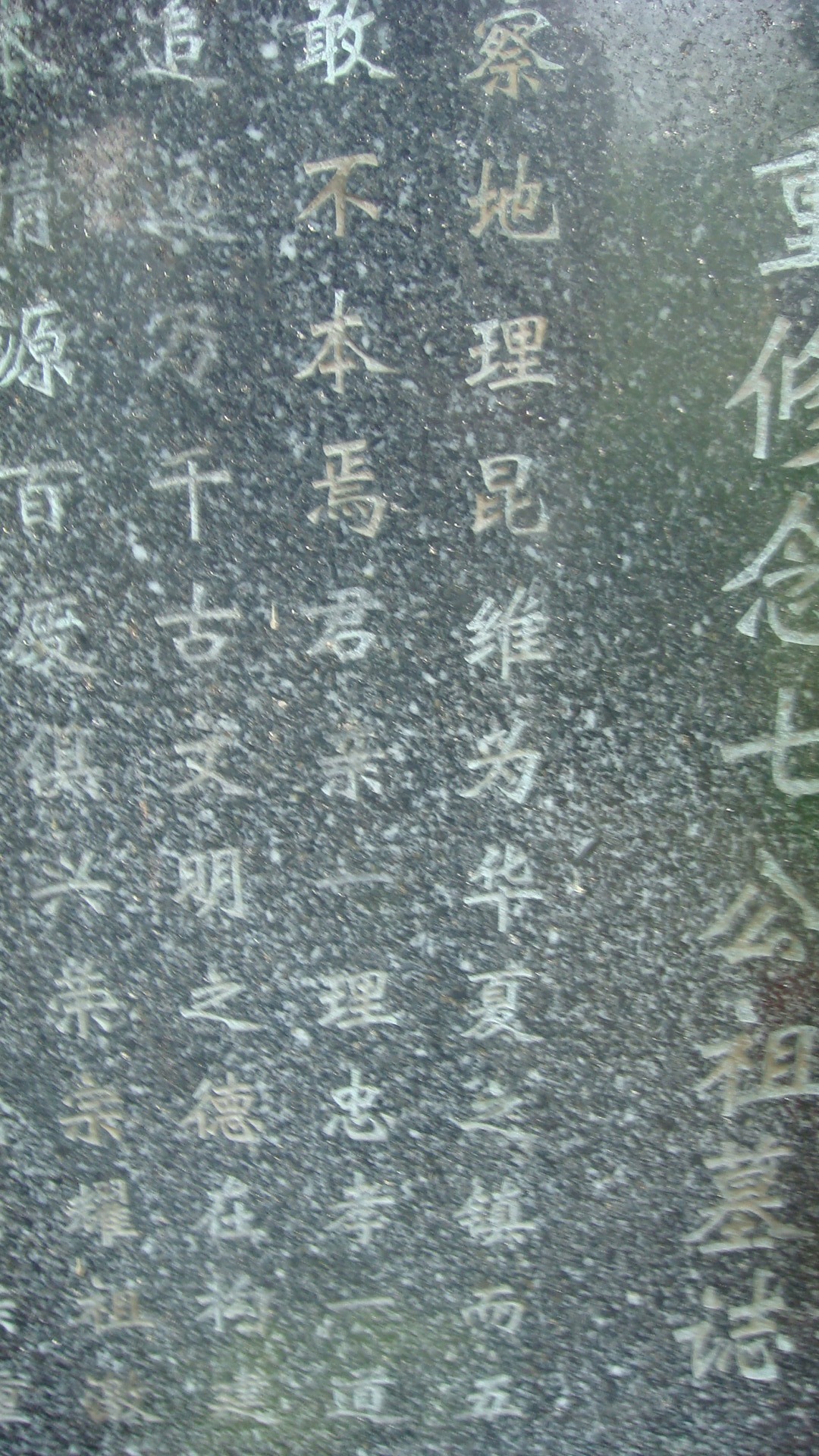 DSC03441.JPG