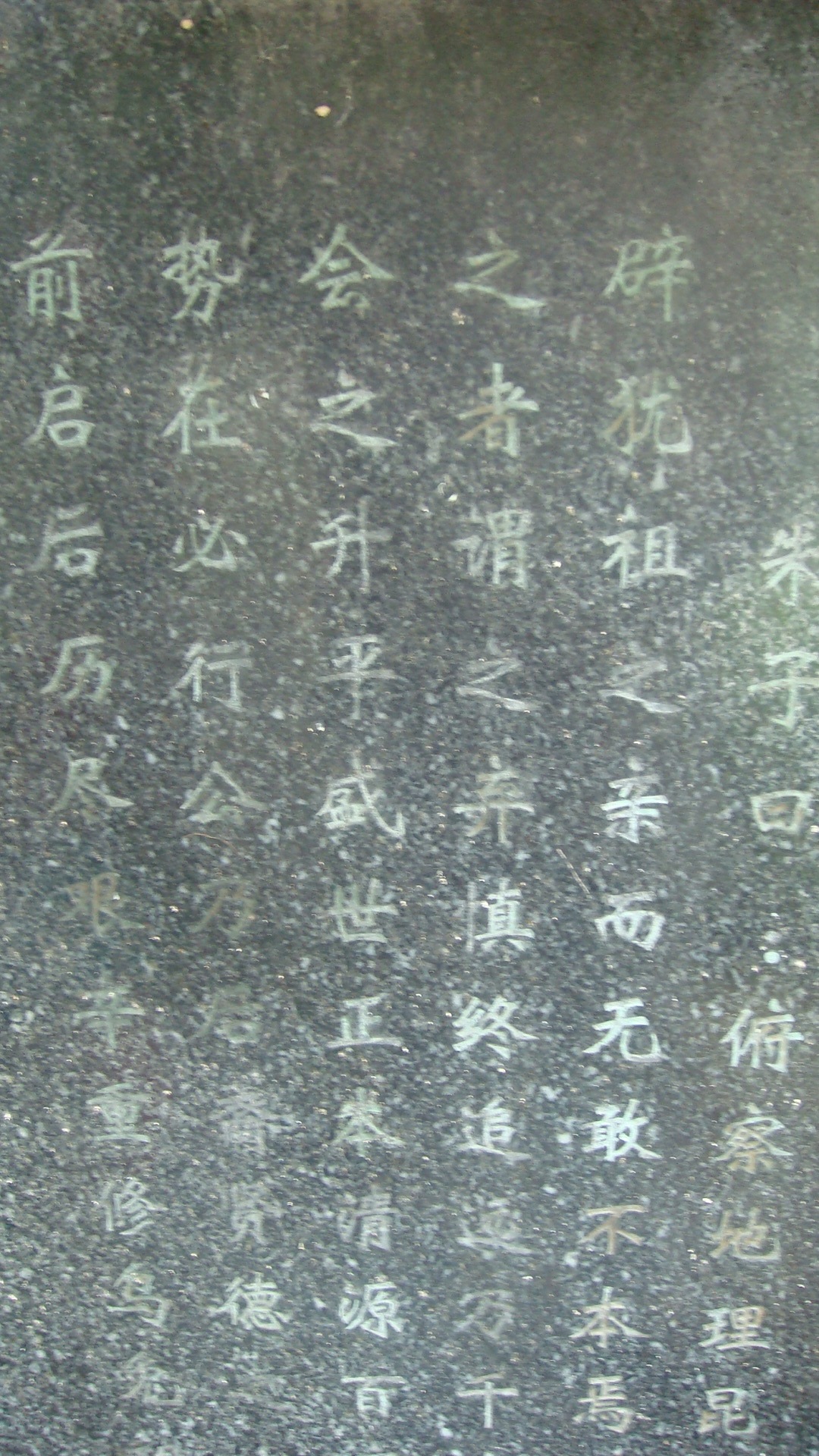 DSC03438.JPG