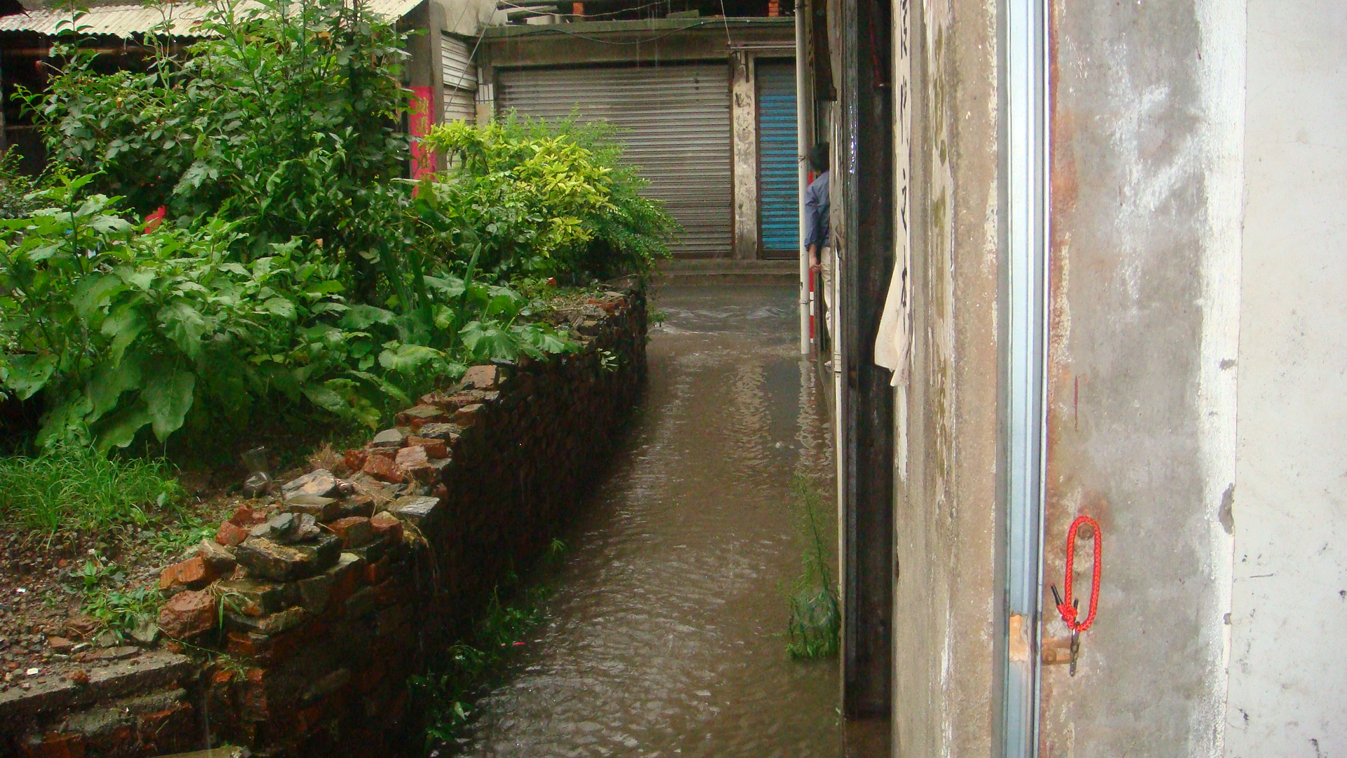 DSC03368.JPG