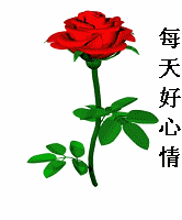 201204041521060137.gif