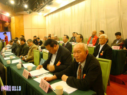 大会主席台一角一DSC06017.JPG