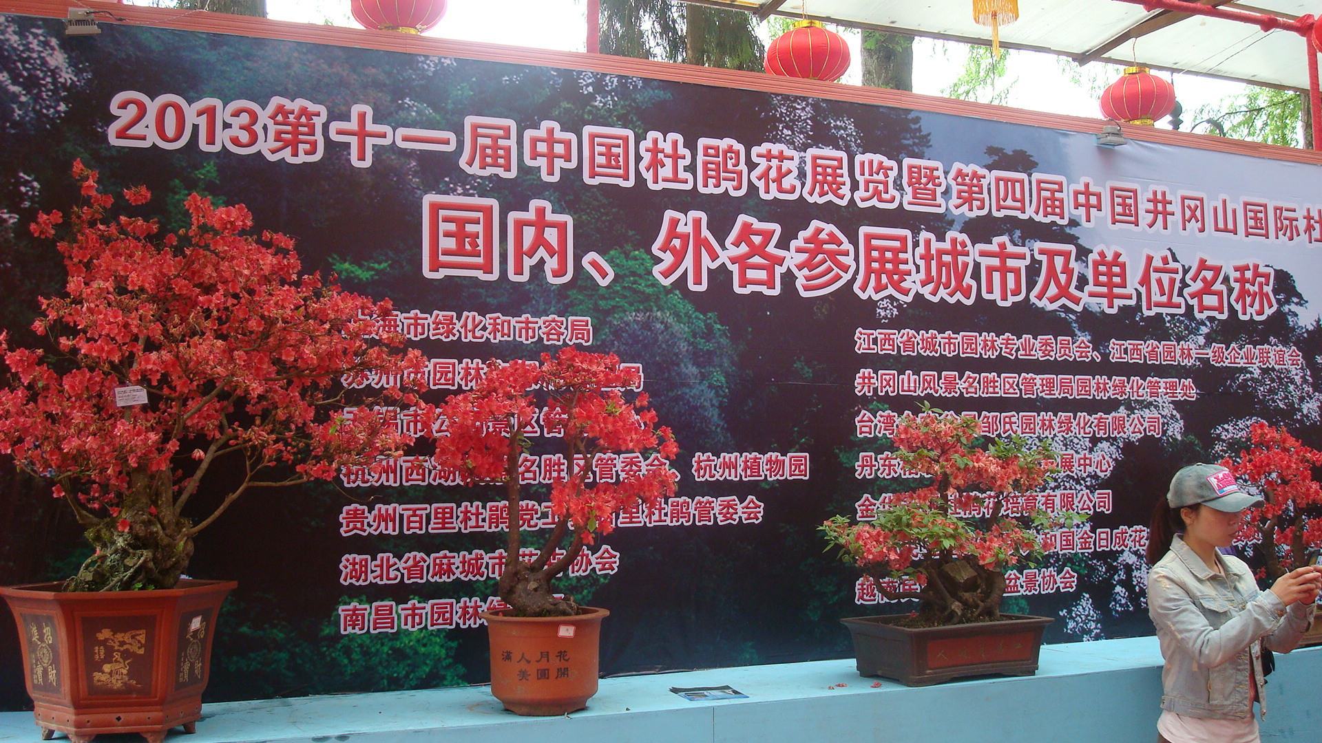 DSC01414.JPG