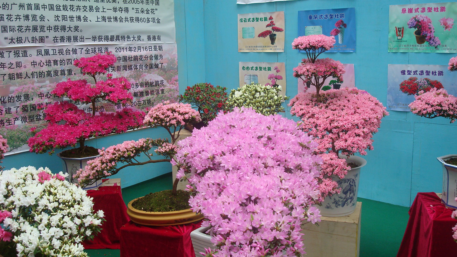 DSC01440.JPG