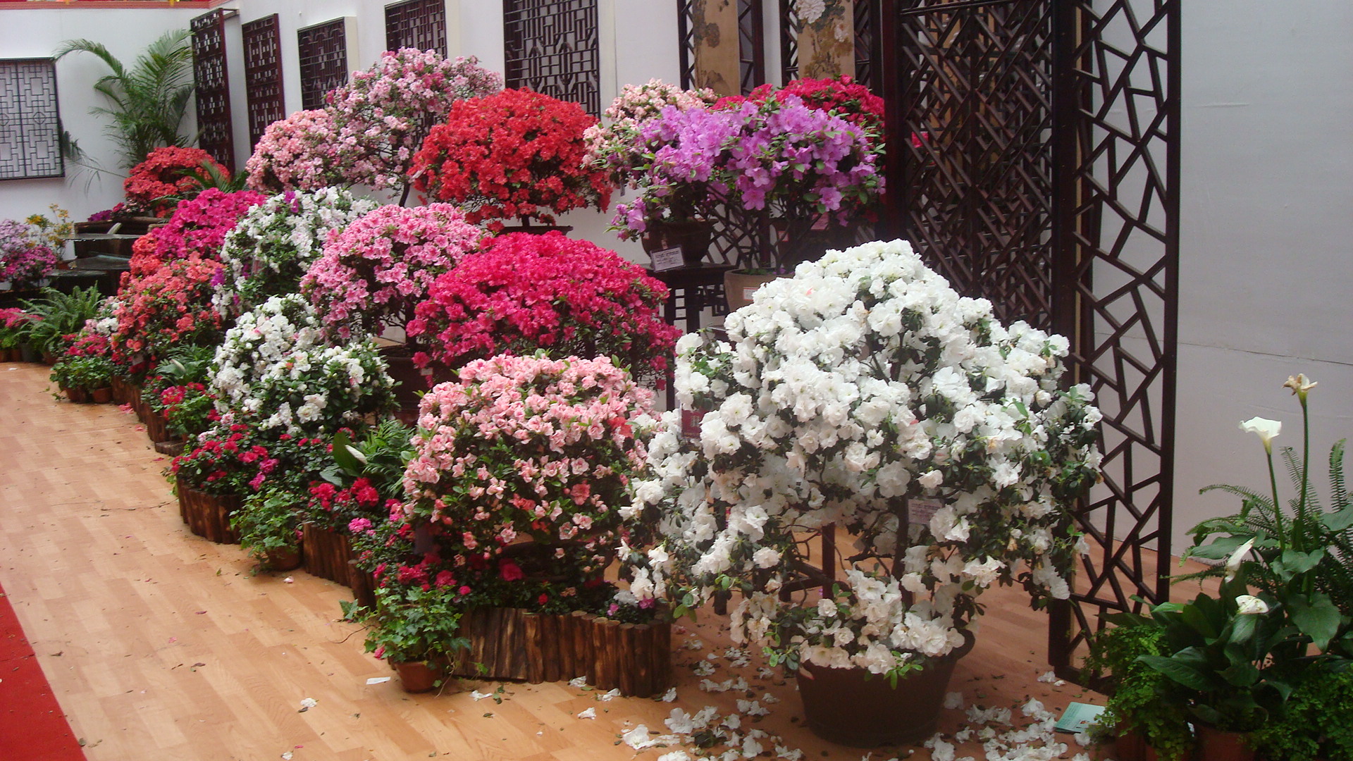 DSC01174.JPG