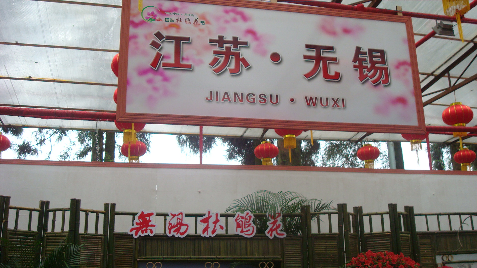 DSC01426.JPG