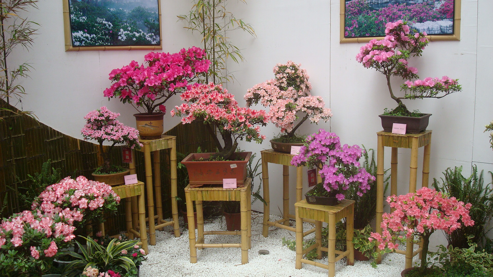 DSC01478.JPG
