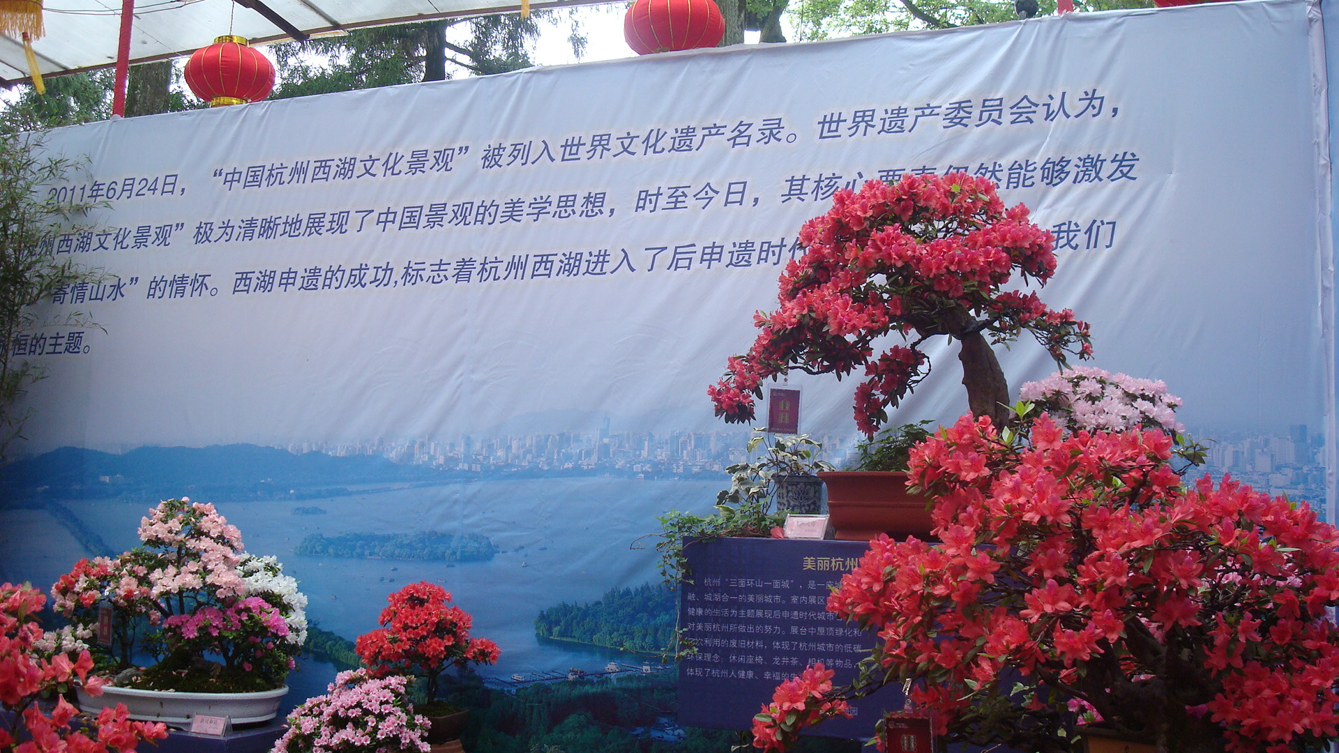 DSC01256.JPG
