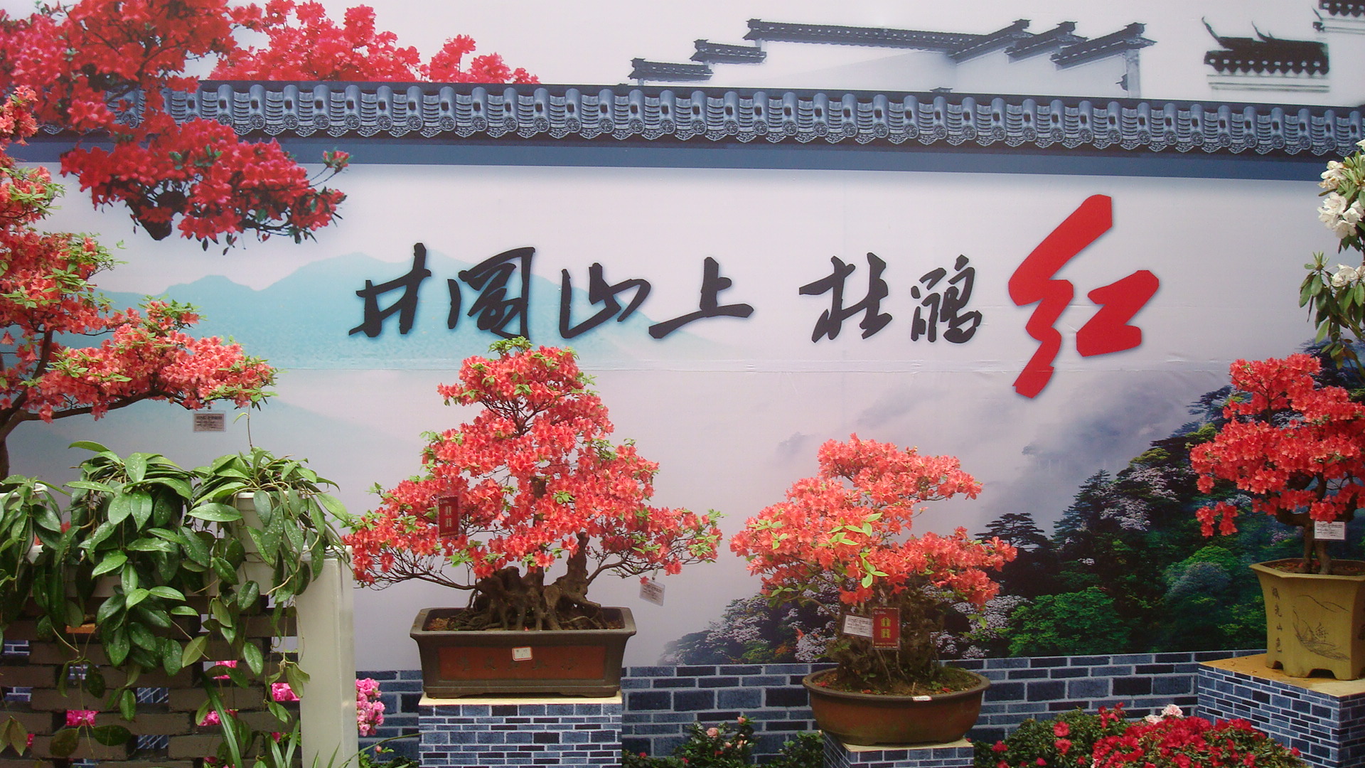 DSC01472.JPG