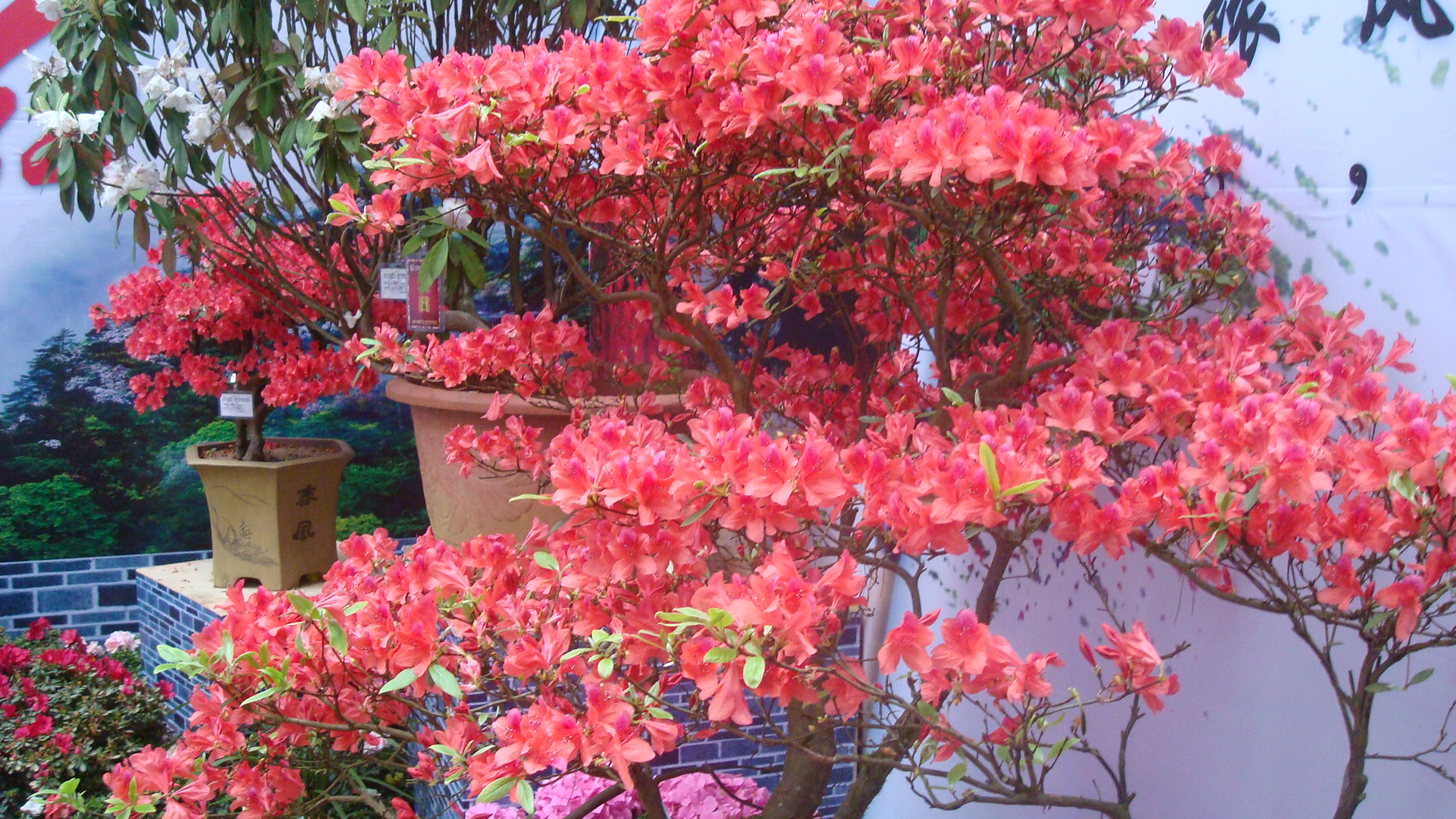 DSC01173.JPG