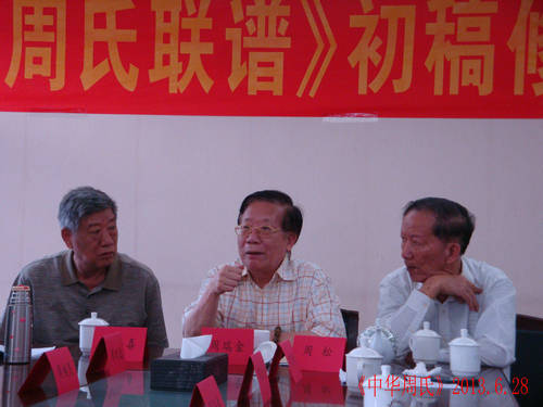 周瑞金总顾问讲话DSC08068.JPG