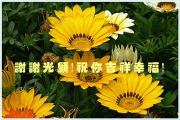 谢谢光顾！祝你吉祥幸福！ - 副本.jpg