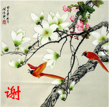 欣赏04_副本.gif