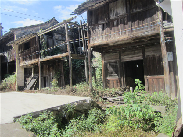 周宅村06.jpg