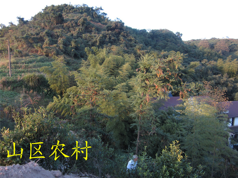 山区12.jpg