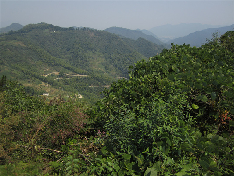 山区21.jpg