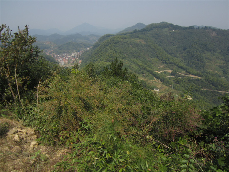 山区22.jpg