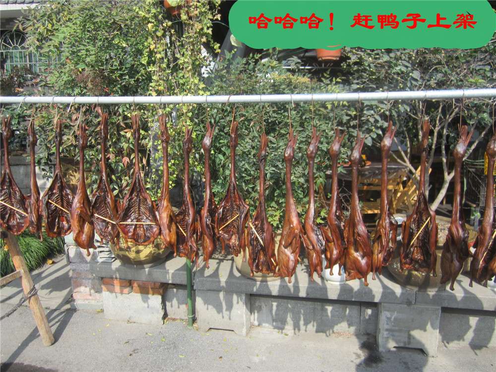 白乐桥13.jpg
