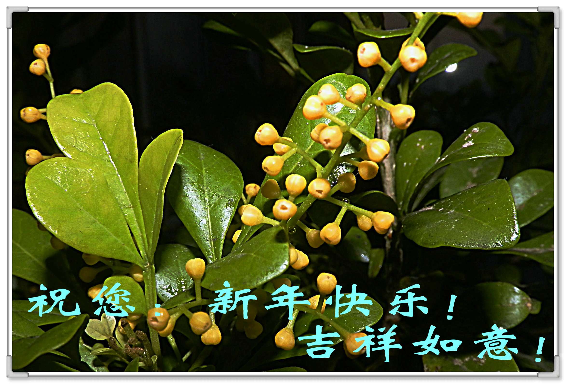 PC140197_副本.JPG