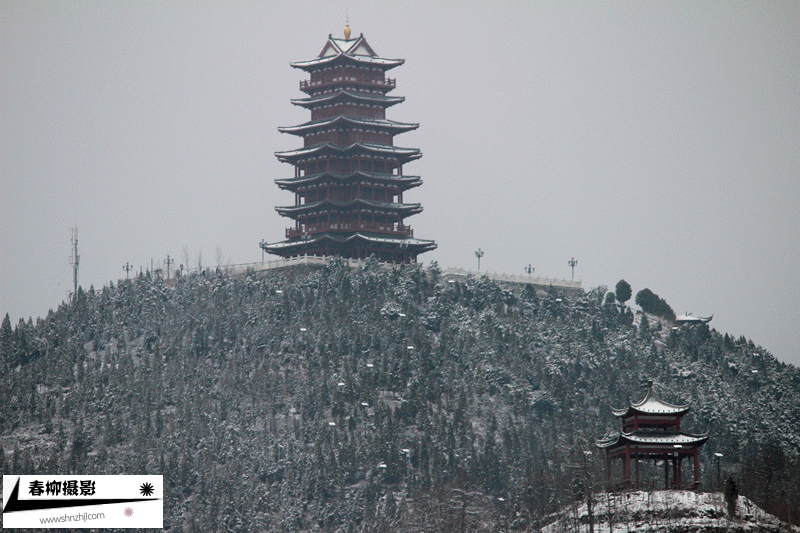 IMG_1283_副本.gif