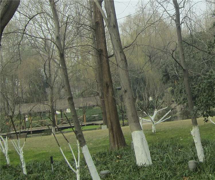 杭州南山路01.jpg