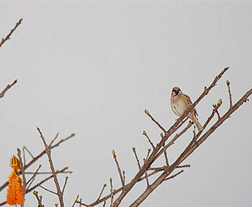 IMG_9187_副本.jpg