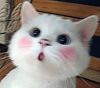 5732237900712565519.gif