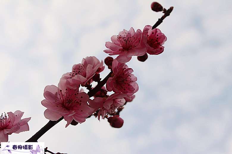 IMG_1526.JPG