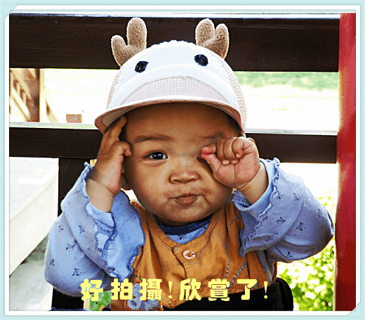 好拍摄！欣赏了！.gif