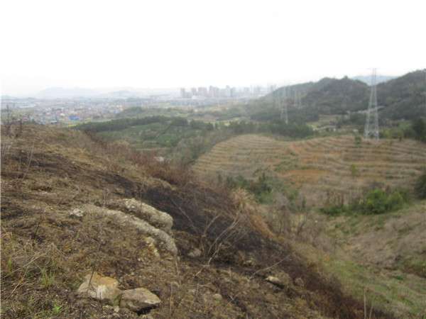 猪头山大火02.jpg