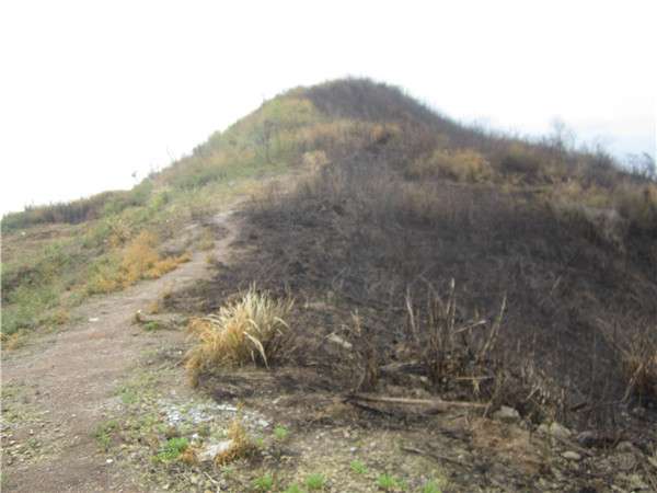 猪头山大火12.jpg