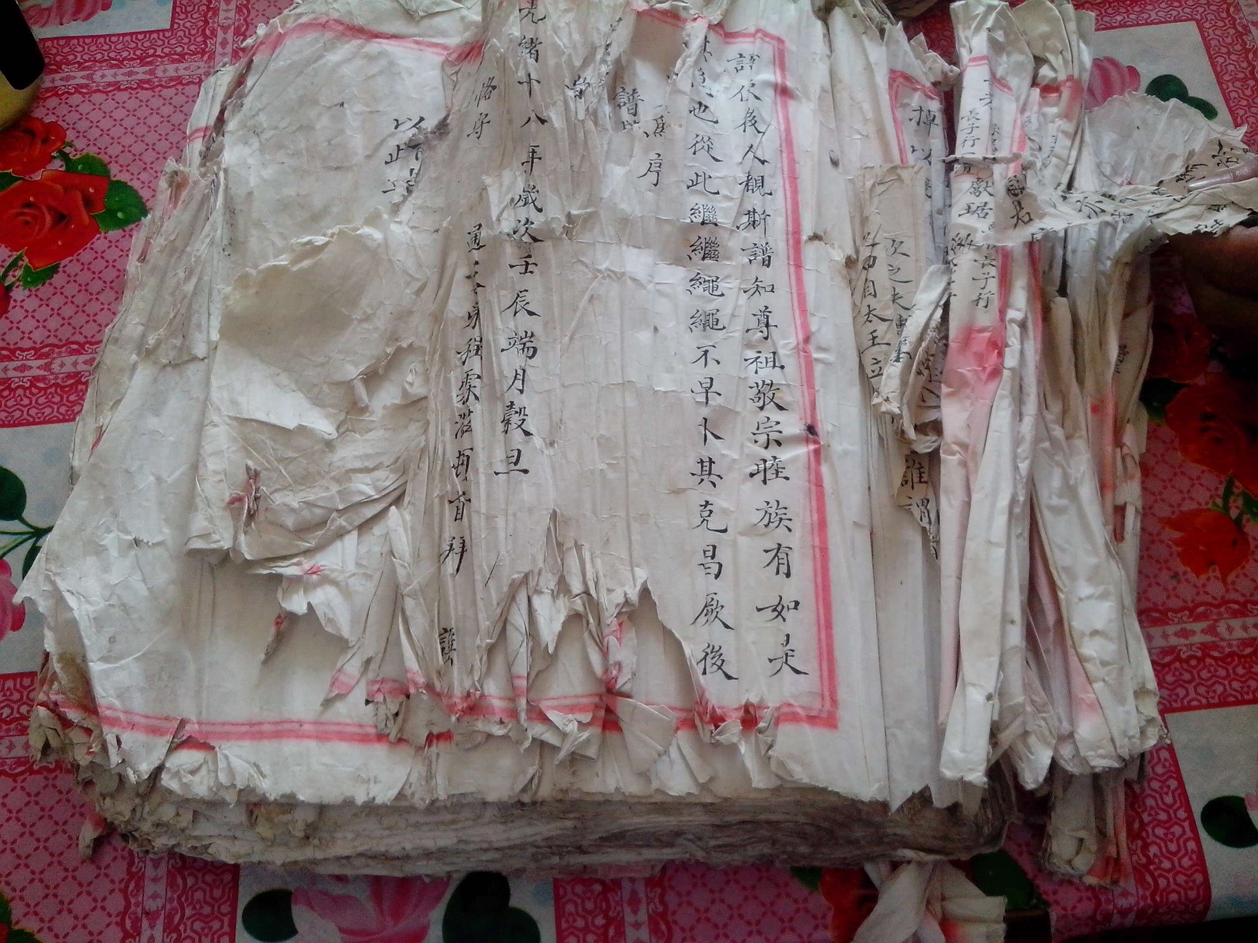 长龙岚下光绪十八年族谱IMG_20140502_152323.jpg