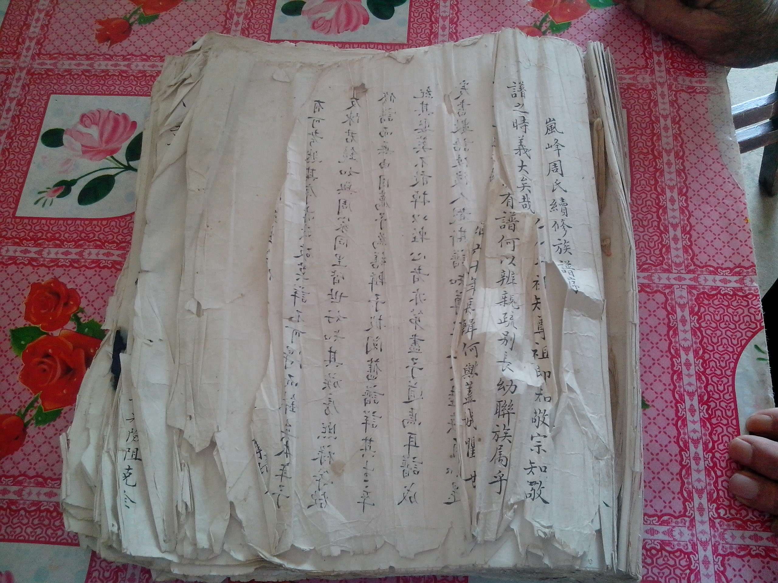 岚下民国族谱IMG_20140502_160147.jpg