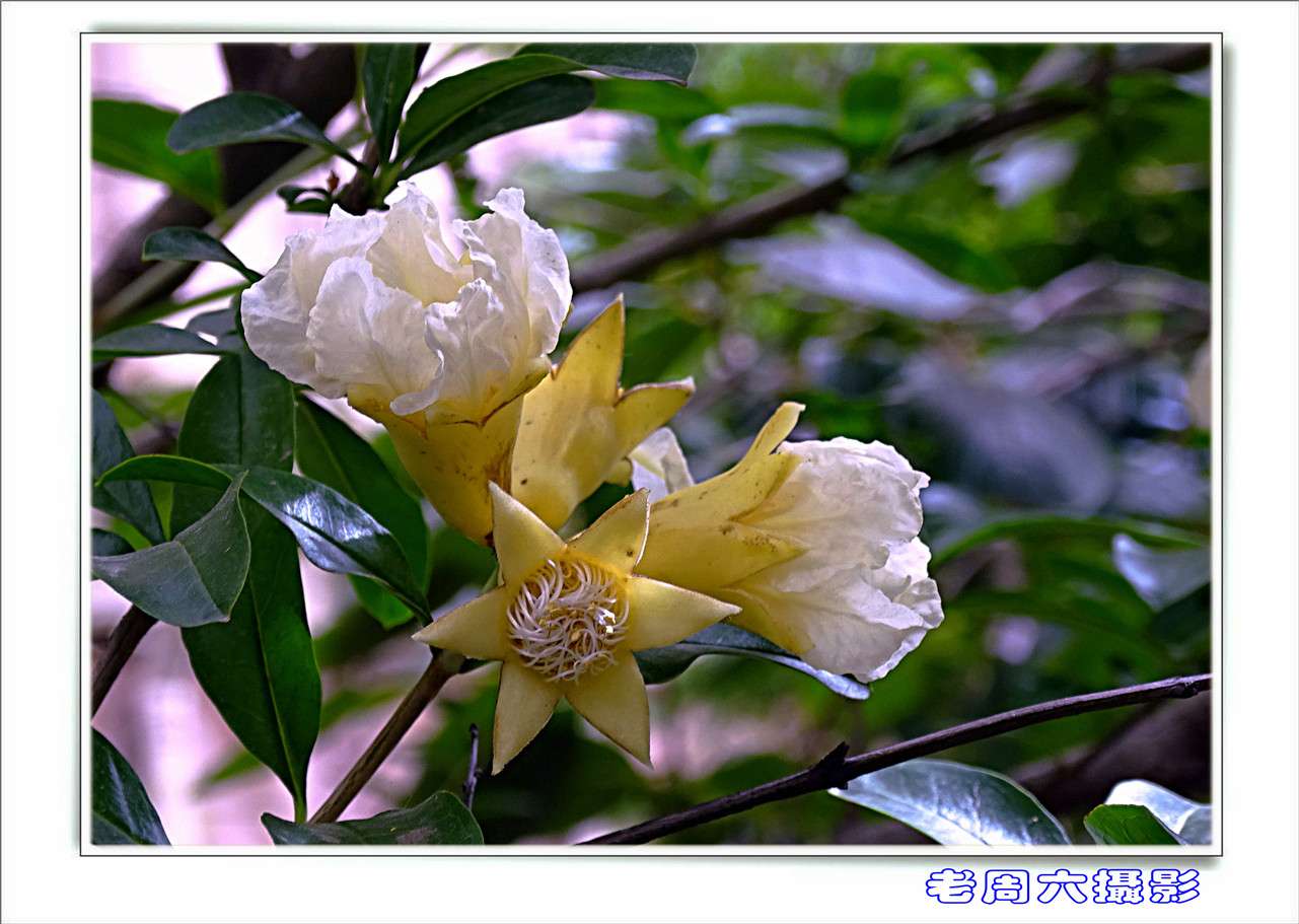 DSC00153.JPG