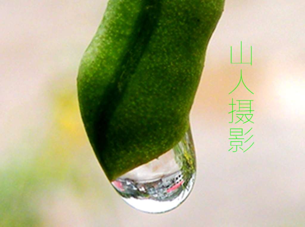 DSCN9726.JPG