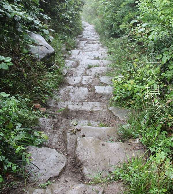 浠路_副本.jpg