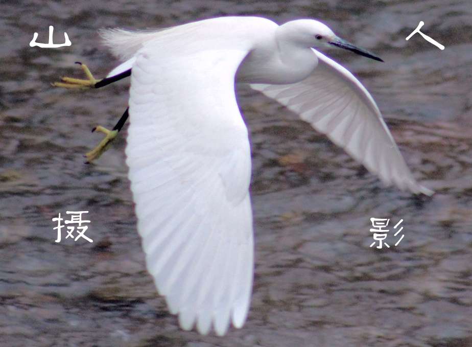 飞0.JPG