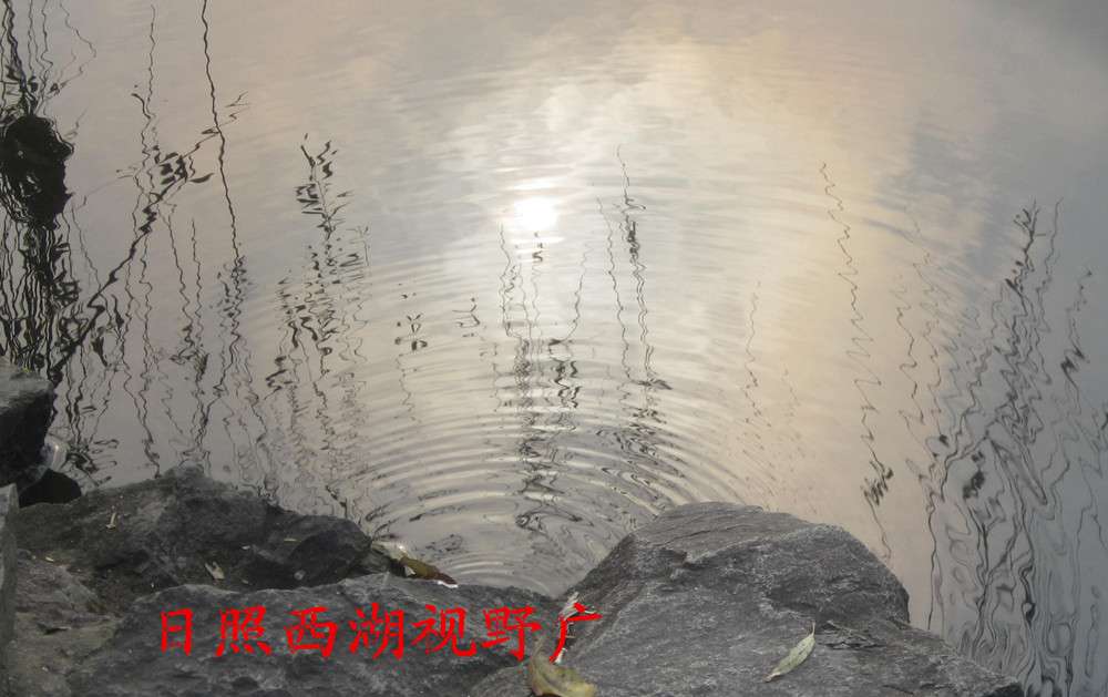 照片 026_副本.jpg