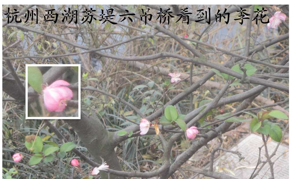 照片 031_副本.jpg