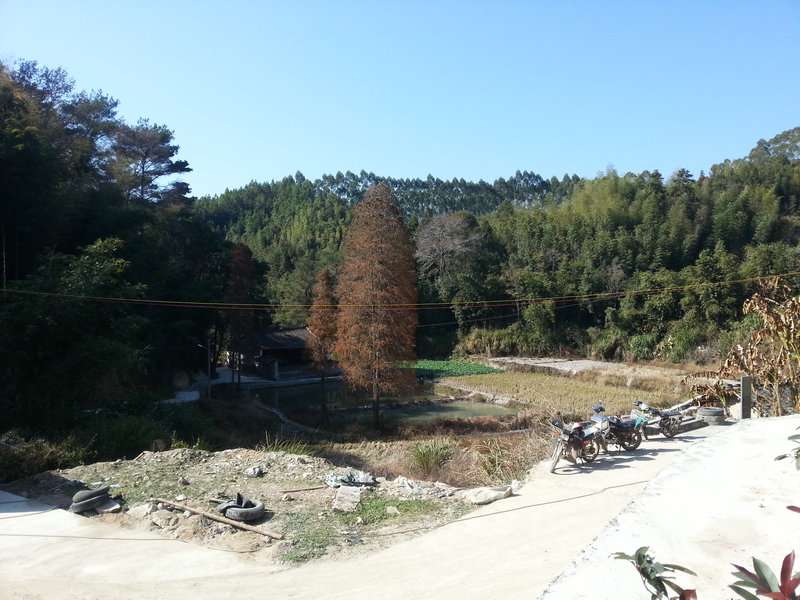 水尾宫新貌20150104_121631.jpg