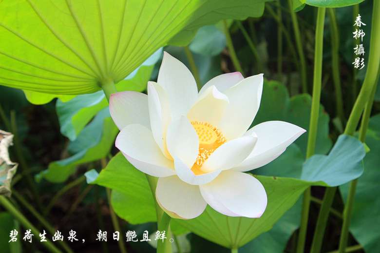 IMG_2171_副本.jpg