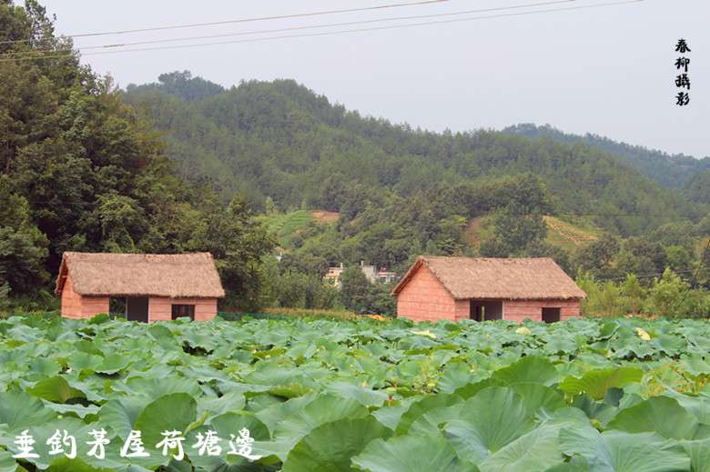 IMG_2179_副本.jpg