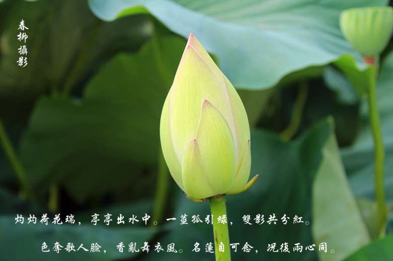 IMG_2186_副本.jpg