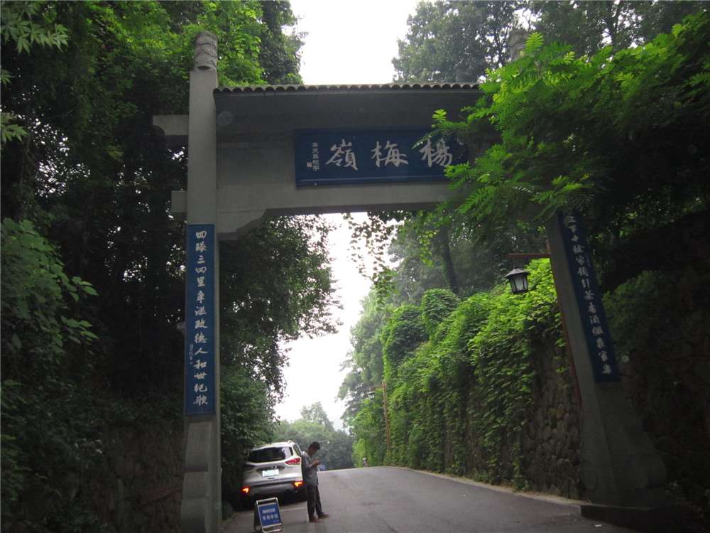 杨梅岭02.jpg