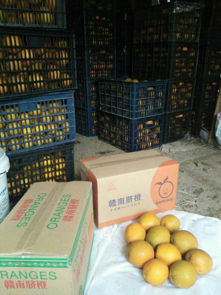 QQ图片20160102231458.jpg